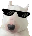 JoyCool