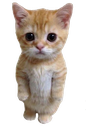 2depie Discord emoji