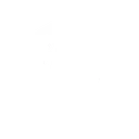 BSGlogowhite