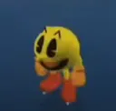pacisback