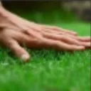 touchgrass