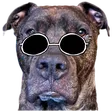 imfrobDjango