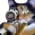 nizSnipe