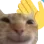 catwave catwave