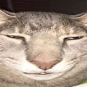 wuh