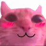 catlovely
