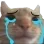 catsad