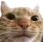 catstare