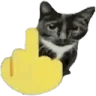 catfuccyou
