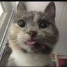 chubs