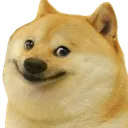 doge doge