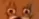 JerrySquint