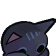 CatToss
