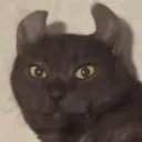 myreaction