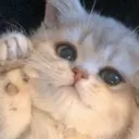 cute