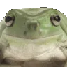 frogyes