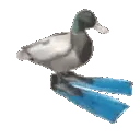hyperspin hyperspin