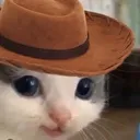 bloomyeehaw