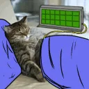 CatFlatline