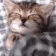Sleepo