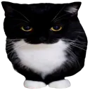 kat