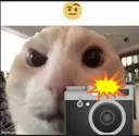 niceballs