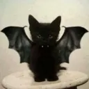 Batcat batcat Discord Emoji