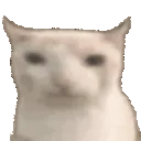 catEat