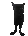 nyx