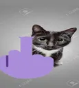 catmiddlefingerimp
