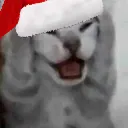 4113christmascatfuck