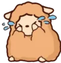 LlamaCry