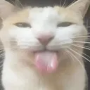 blehh