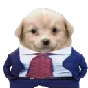 DogSuit