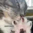 __
