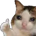 sadcat Discord Emoji