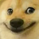 dogo_smile