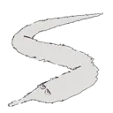 NeuvWorm