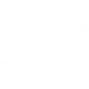 SSU