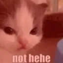 Nothehe nothehe Discord Emoji