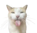 silly