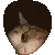 catpeek