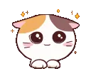 Cute_Kitty Cute_Kitty