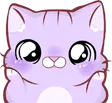 babykitty babykitty