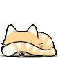 kitty_peek kitty_peek