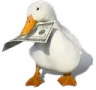 MoneyGoose
