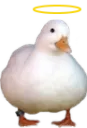 duckie_holy