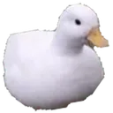 duckie