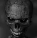 SKULL SKULL