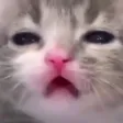 Sad